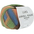 Lang Yarns Jawoll Magic Decrade 27 ruskea-sininen-oranssi-vihreä