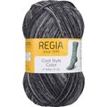 Regia Cool Style Color 2930 cool grey