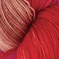 Knit Pro Symfonie Hand Dyed Yarns Terra Rhubarb (VR2022)