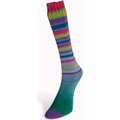 Laines Du Nord Infinity Sock 19