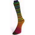 Laines Du Nord Infinity Sock 20