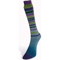 Laines Du Nord Infinity Sock 21