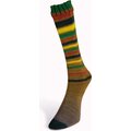 Laines Du Nord Infinity Sock 23