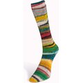 Laines Du Nord Eclectic Sock 1