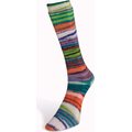 Laines Du Nord Eclectic Sock 3