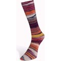 Laines Du Nord Eclectic Sock 4