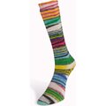 Laines Du Nord Eclectic Sock 6