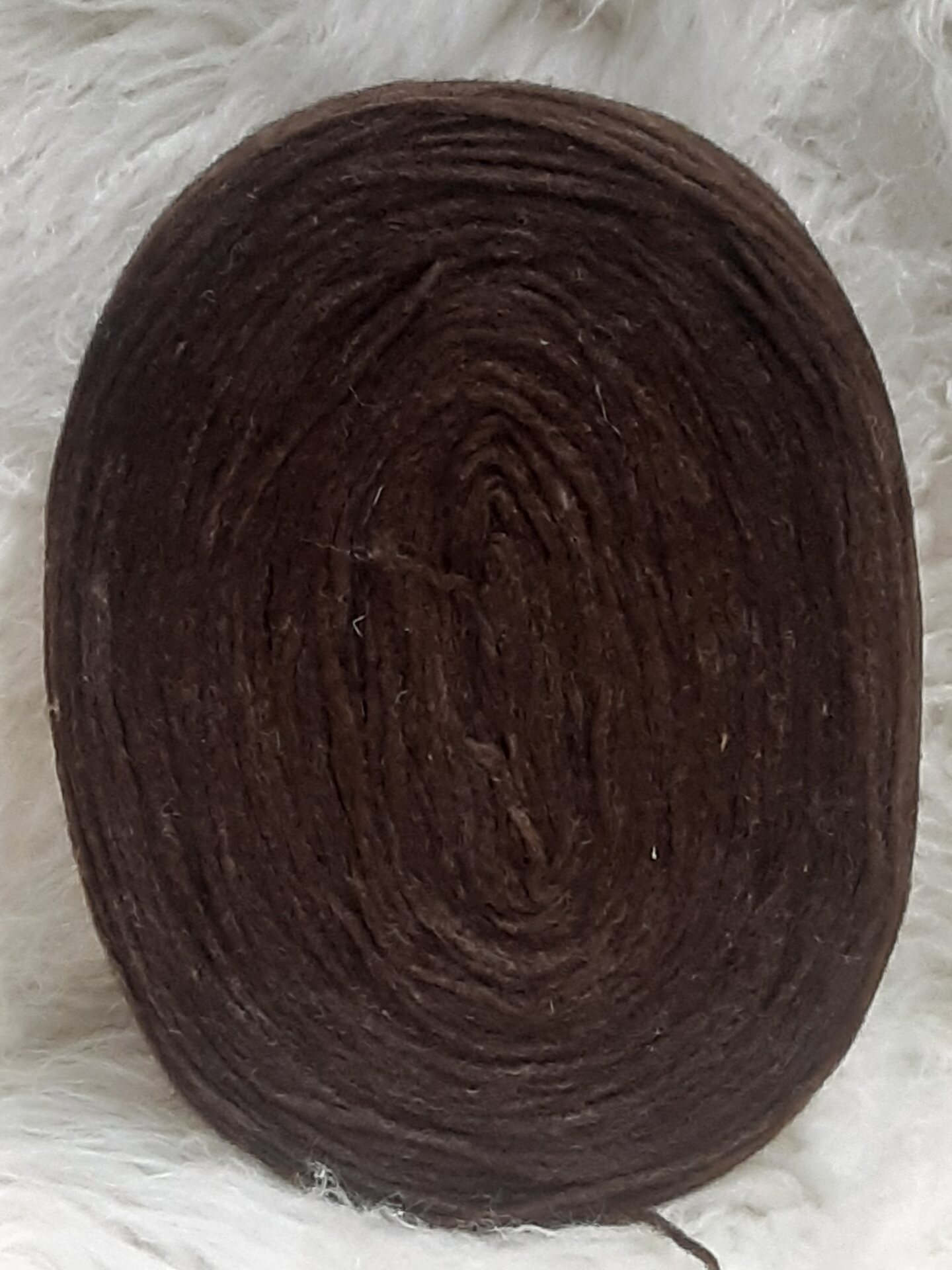 Lankapuodin hahtuva kiekkonen Tummaruskkee