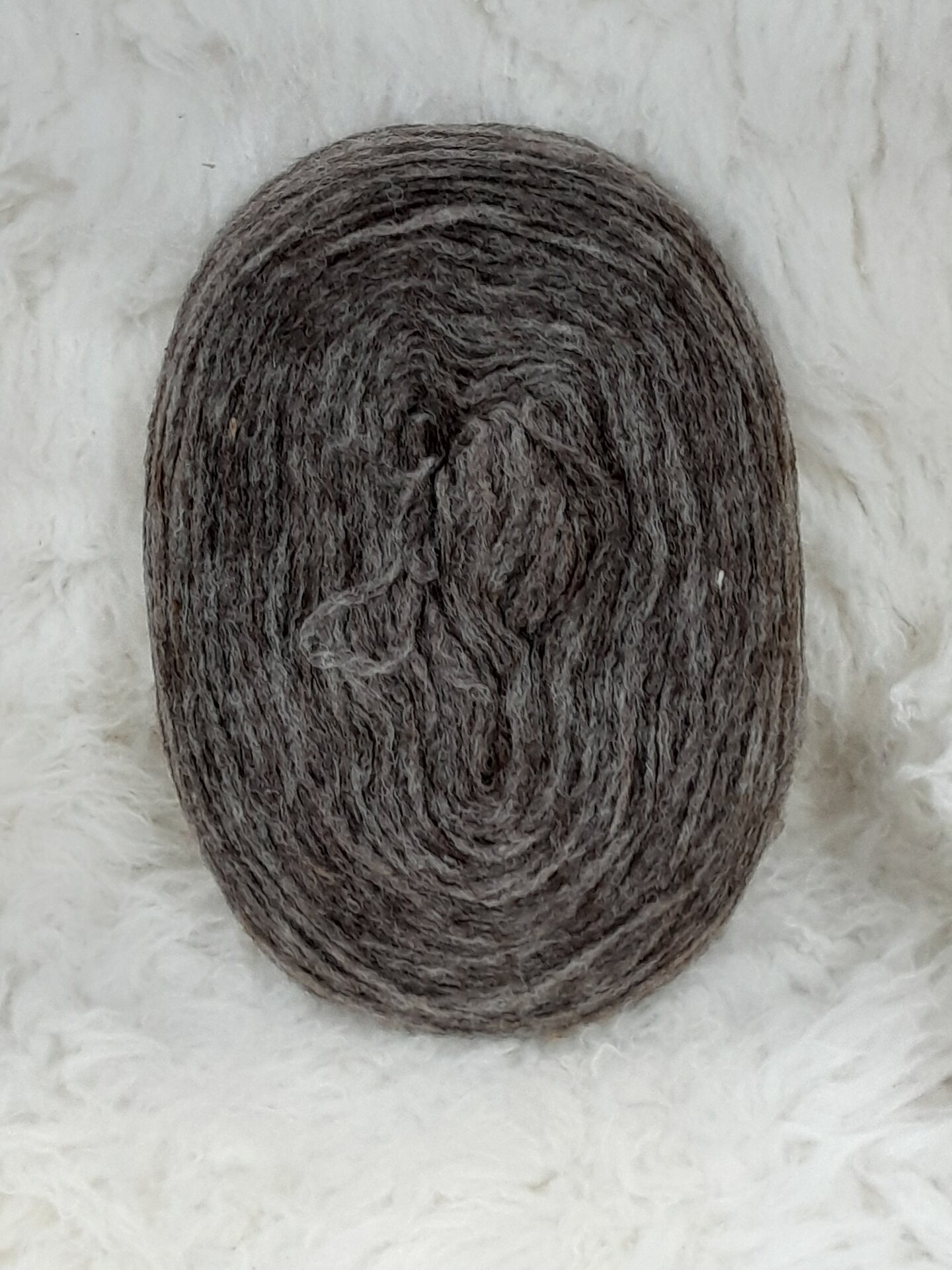 Lankapuodin hahtuva kiekkonen Melleerattu ruskkee