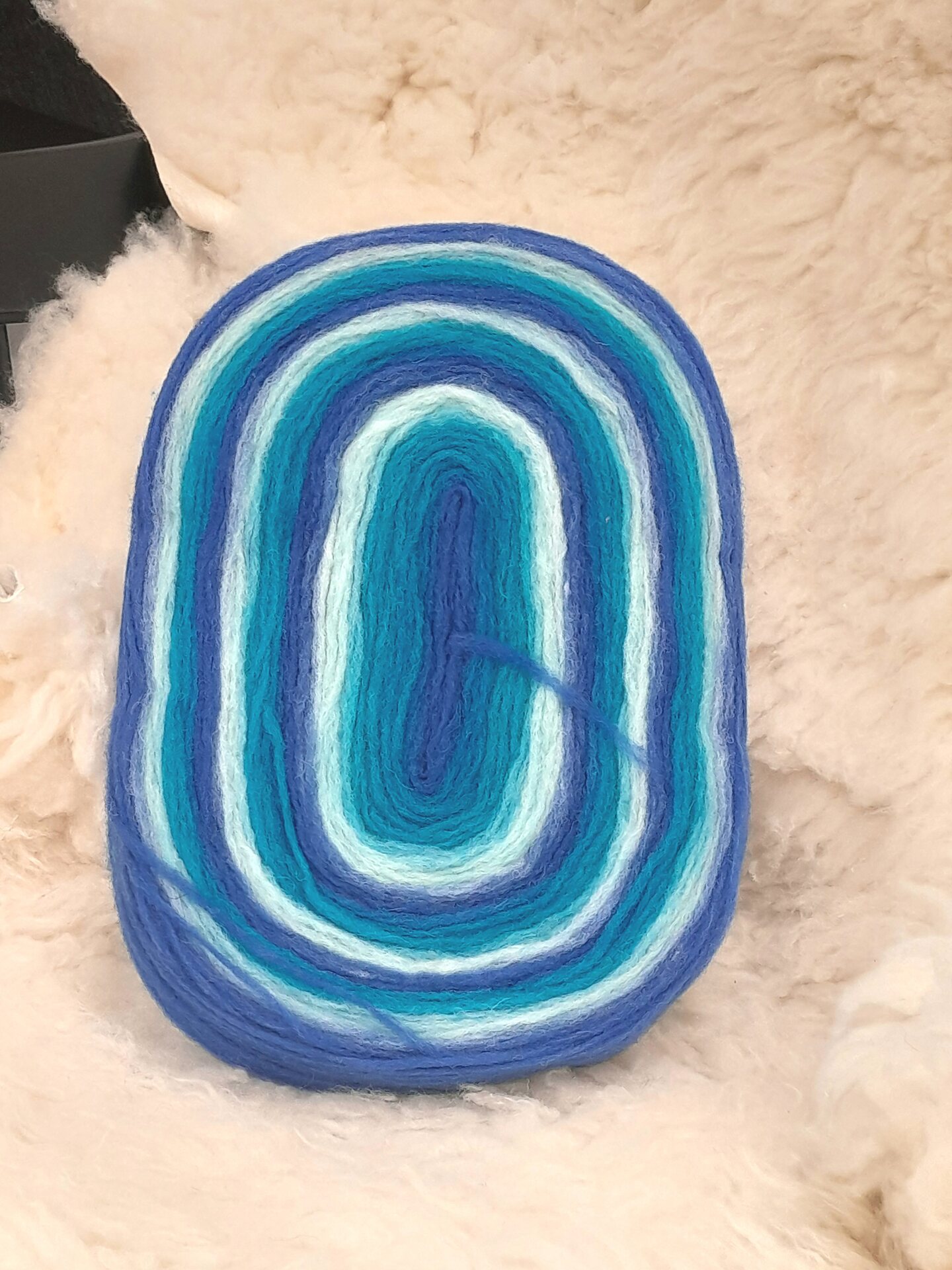 Lankapuodin hahtuva kiekkonen Sininen-valkea-aqua