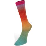 Laines Du Nord Harmonious Socks 1