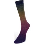 Laines Du Nord Harmonious Socks 3