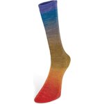 Laines Du Nord Harmonious Socks 4