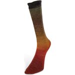 Laines Du Nord Harmonious Socks 5