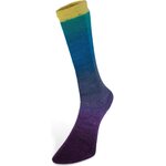 Laines Du Nord Harmonious Socks 7