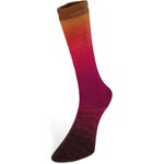 Laines Du Nord Harmonious Socks 8