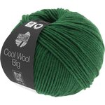 Lana Grossa Cool Wool Big 949
Flaschengrün