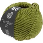 Lana Grossa Cool Wool Big 1021 Maigrün