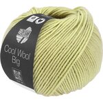 Lana Grossa Cool Wool Big 1029 Birkengrün