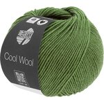 Lana Grossa Cool Wool Mélange 1434 Grün meliert