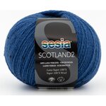 Sesia Scotland 2 1991