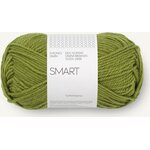 Sandnes Garn Smart 9564 Matcha