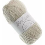 Scheepjes Our Tribe 880 Silver Birch