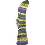 Järbo Garn Mellanraggi 28364 Meadow Print