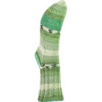 Järbo Garn Bambu Raggi 17210 Aloe Vera Print