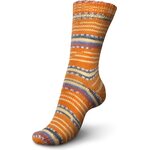 Regia Autumn Walk 6-ply 4902 pumpkin patch