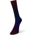 Laines Du Nord Watercolor sock 105
