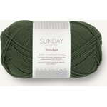 Sandnes Garn PetiteKnit Sunday 9581 Pine
