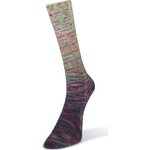 Laines Du Nord Paint Gradient Sock 15