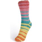Laines Du Nord Summer sock 100