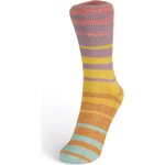 Laines Du Nord Summer sock 101
