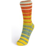 Laines Du Nord Summer sock 107