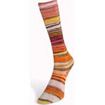 Laines Du Nord Eclectic Sock 5