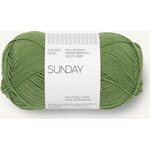 Sandnes Garn Sunday 8753 Vineyard green