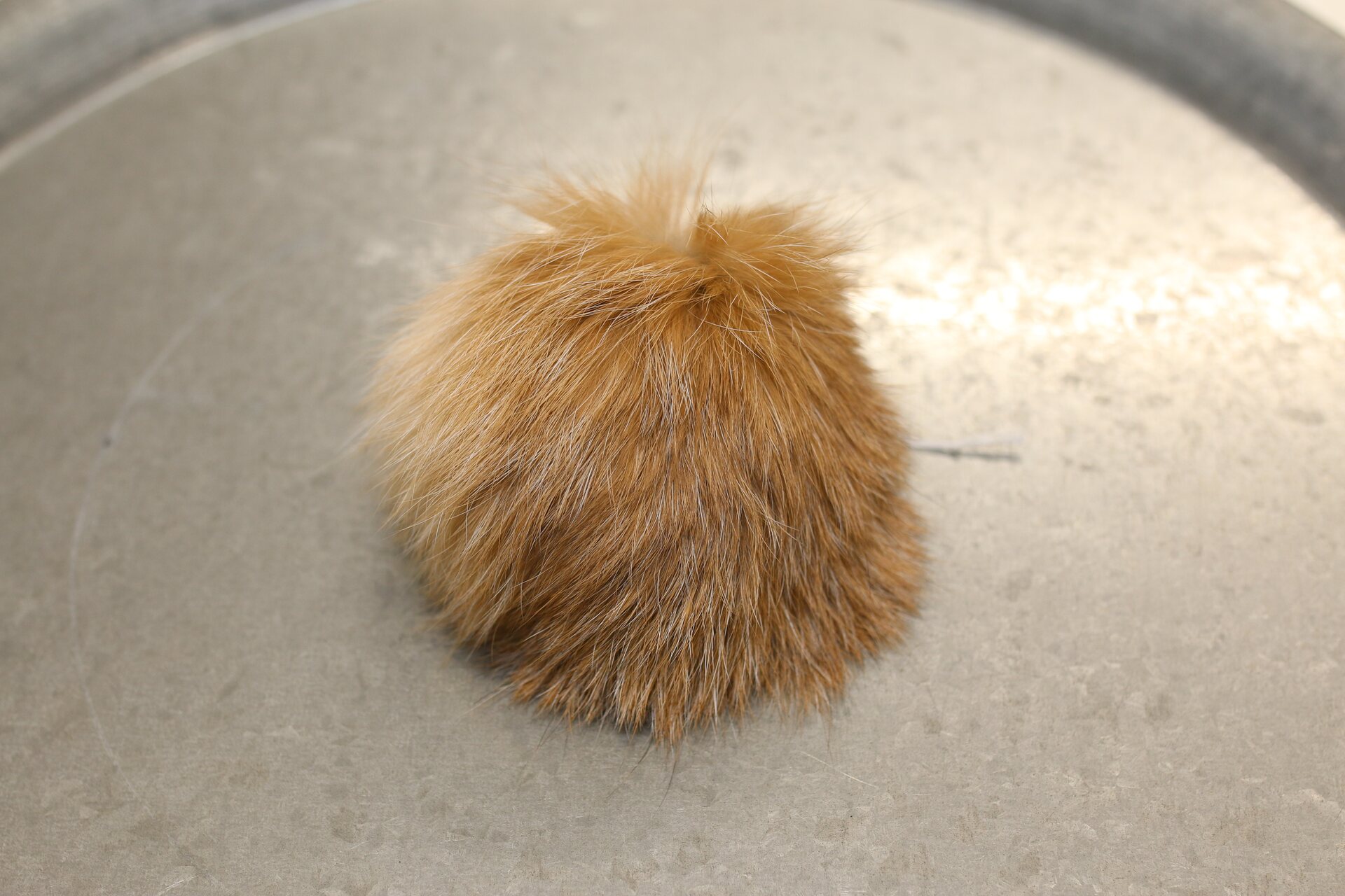 Turkistupsu keskikokoinen Beige-valkoinen