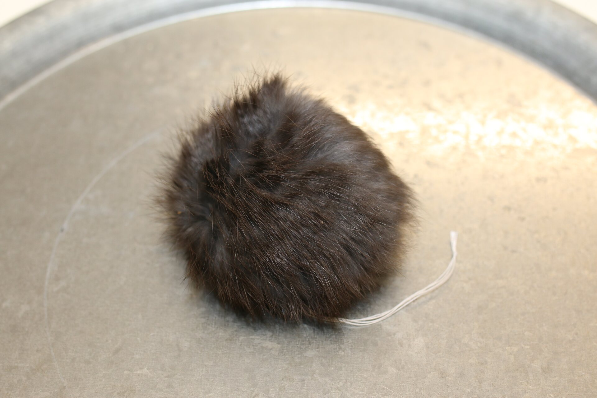 Turkistupsu keskikokoinen Luonnonmusta