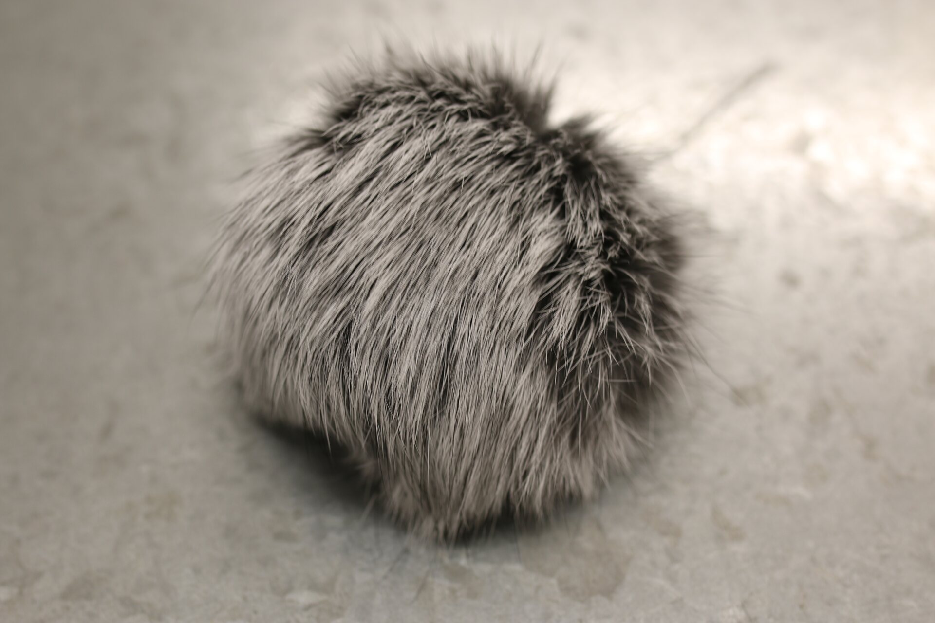 Turkistupsu pieni Harmaa