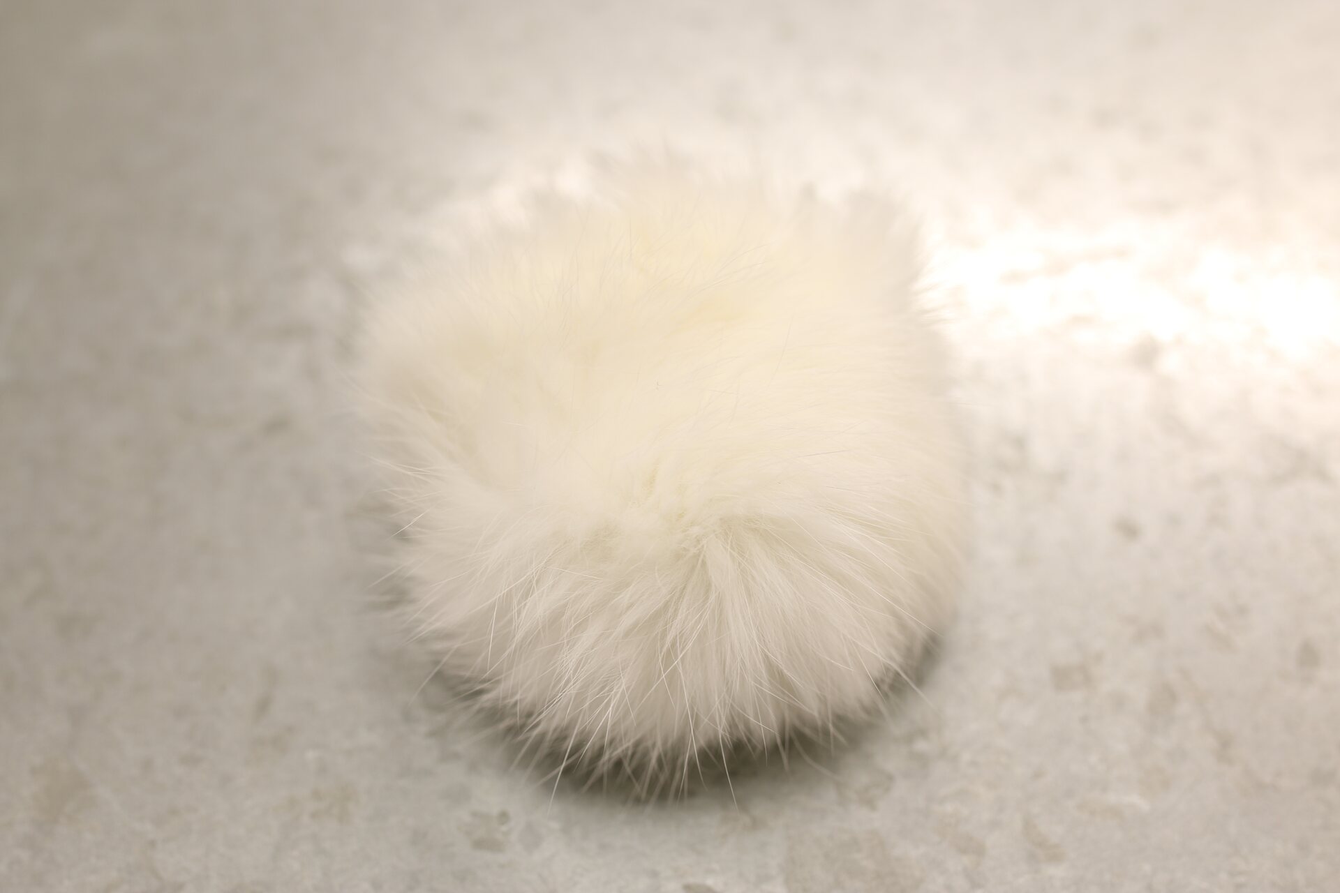 Turkistupsu pieni Valkoinen