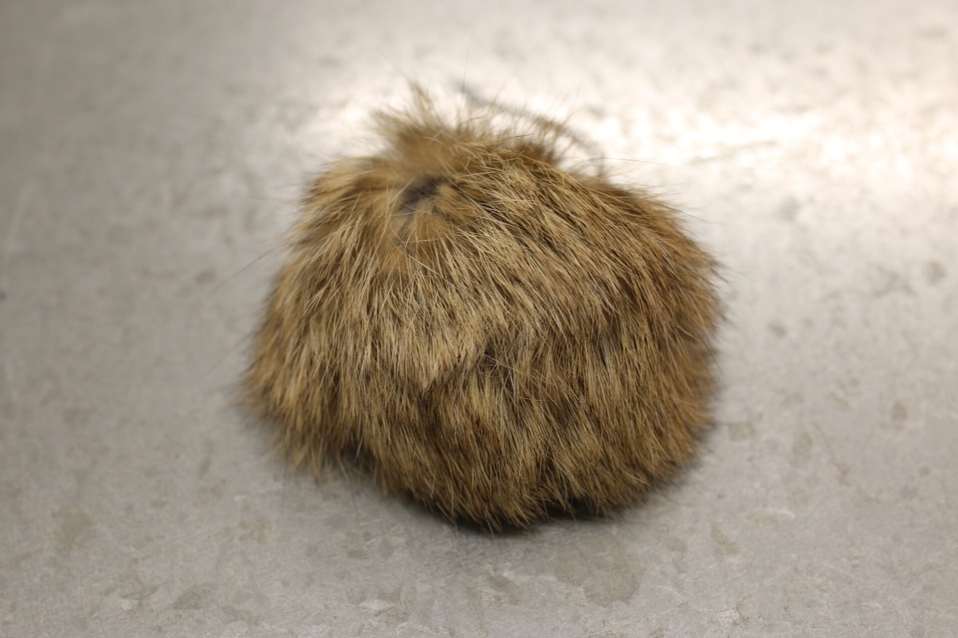 Turkistupsu pieni Luonnonbeige