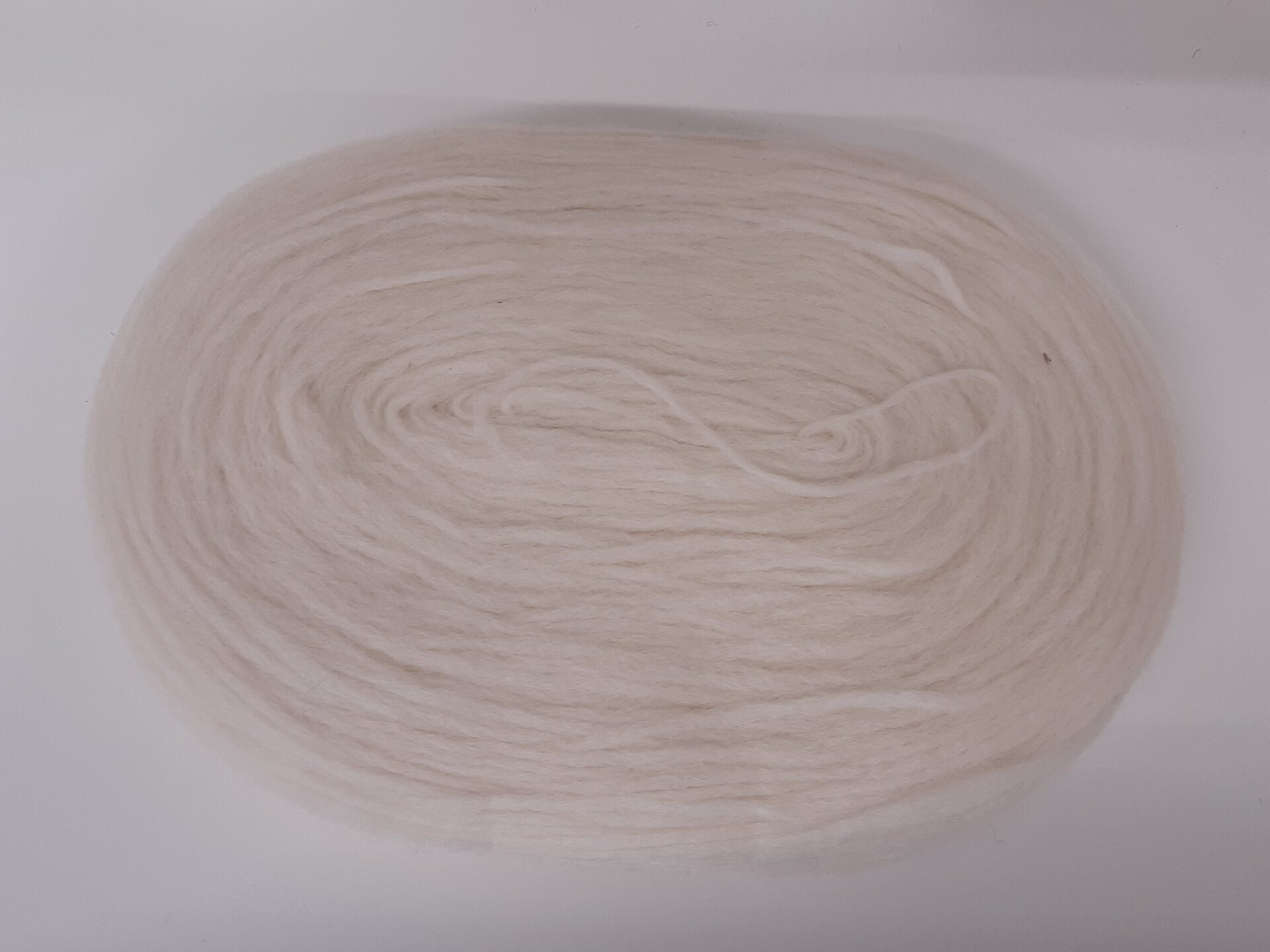 Lankapuodin hahtuva kiekkonen Luonnovalakone