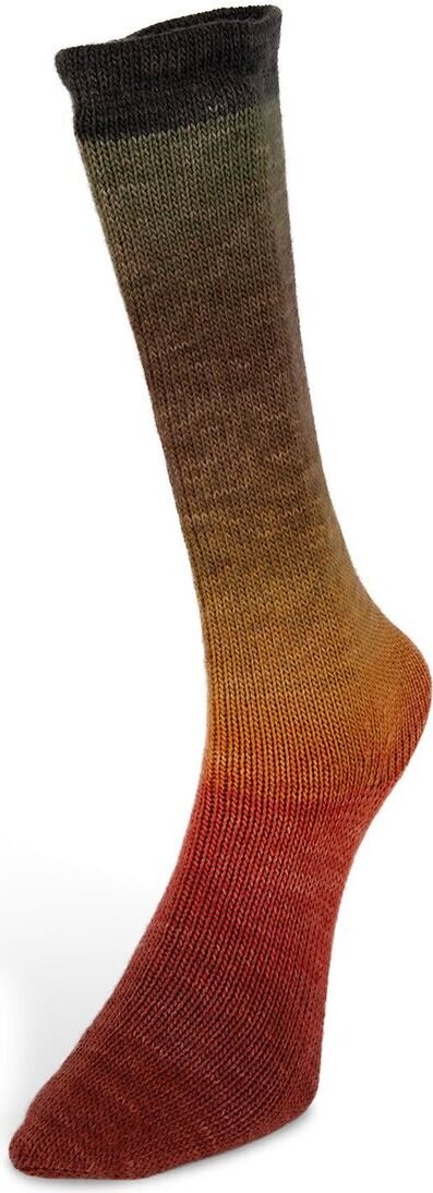 Laines Du Nord Harmonious Socks 5