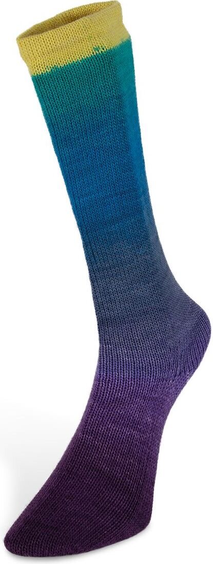 Laines Du Nord Harmonious Socks 7