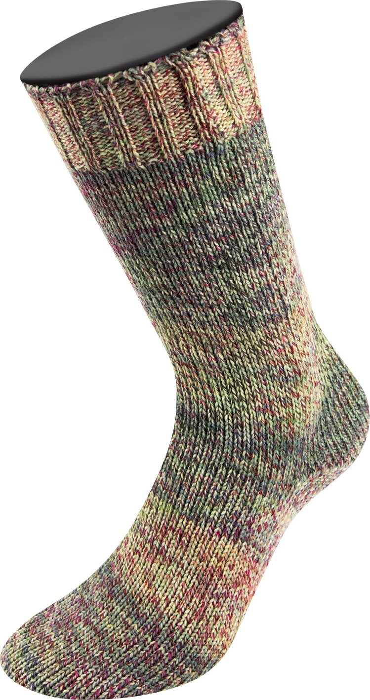 Lana Grossa Landlust Die Sockenwolle 4-ply 214 Grau-/Reseda-/Moosgrün/Hellgrau/Dunkelrot Meliert