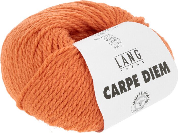 Lang Yarns Carpe Diem 259 pumpkin