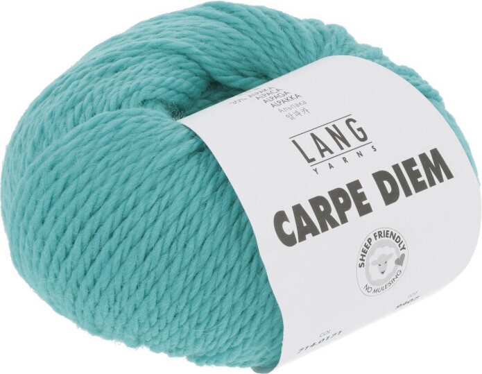 Lang Yarns Carpe Diem 171 sea water
