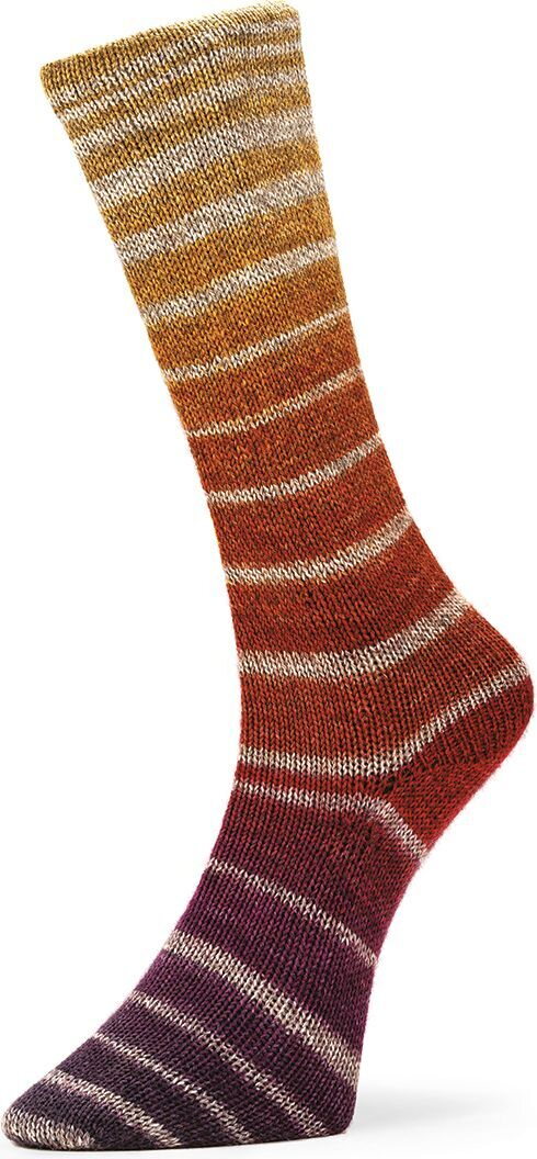 Laines Du Nord Nordik socks 1